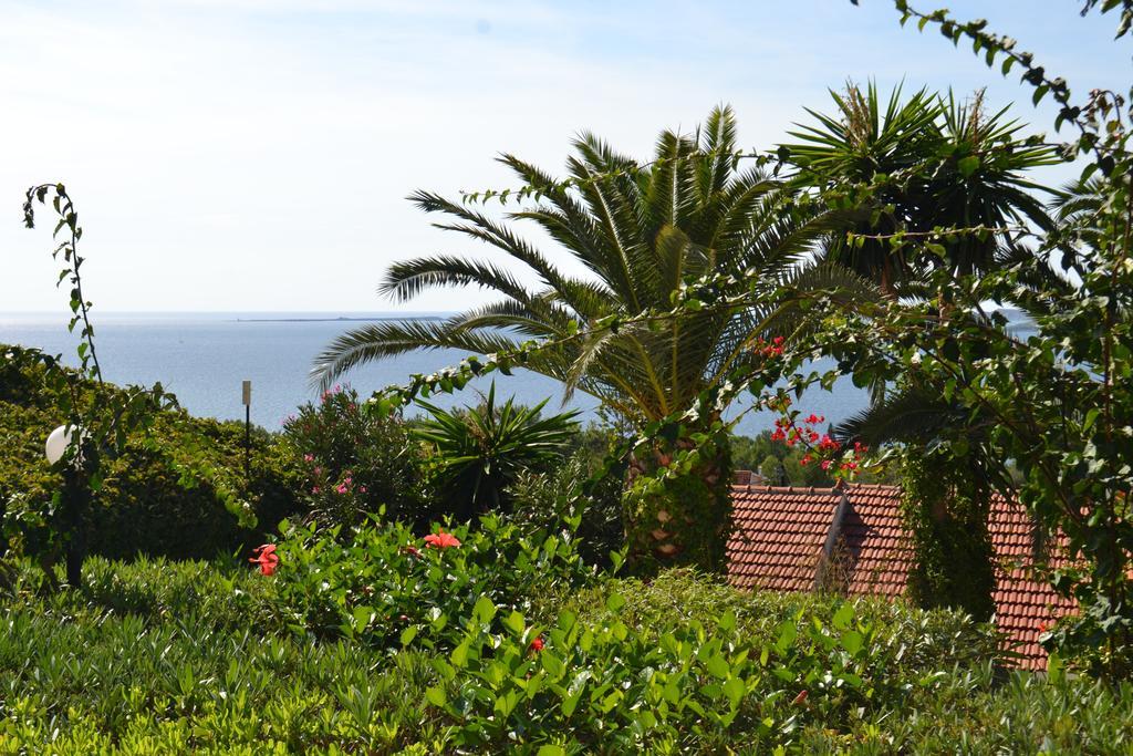 Irilena Studios And Apartments Lassi (Kefalonia) Quarto foto